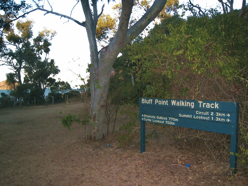2009-11-06 22-03-58_1.jpg - Tolle Wanderung in der Abenddämmerung an der "Capricorn Coast"